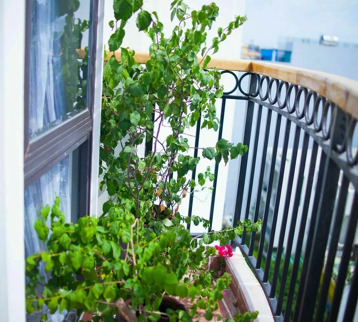 Eco Green Boutique Hotel Дананг